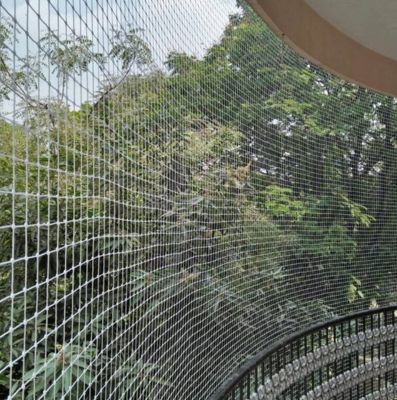 There Are Many Vario Ns Of Passages Of Dapibus